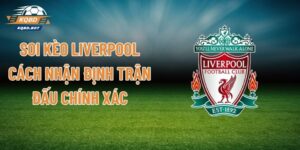 Soi Kèo Liverpool - Cách Nhận Định Trận Đấu Chính Xác