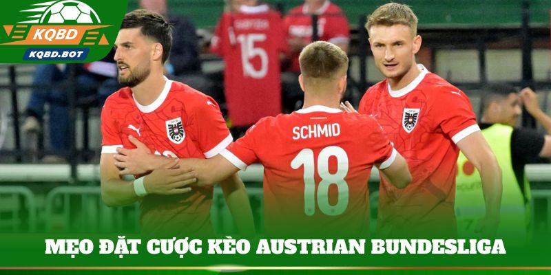 Kinh nghiệm đặt cược kèo Austrian Bundesliga